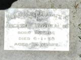 image of grave number 588053